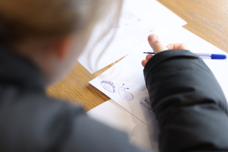 Sophie, one of 4,118 homeless children in Dublin, is a member of Focus Ireland’s children and youth panels. Photograph: Enda O'Dowd