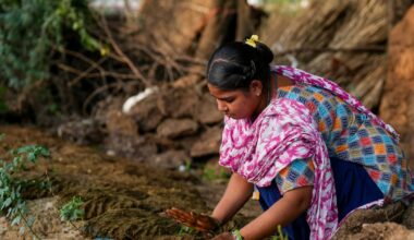 India’s soaring energy prices drive return to traditional a fuel source: cow dung – The Irish Times