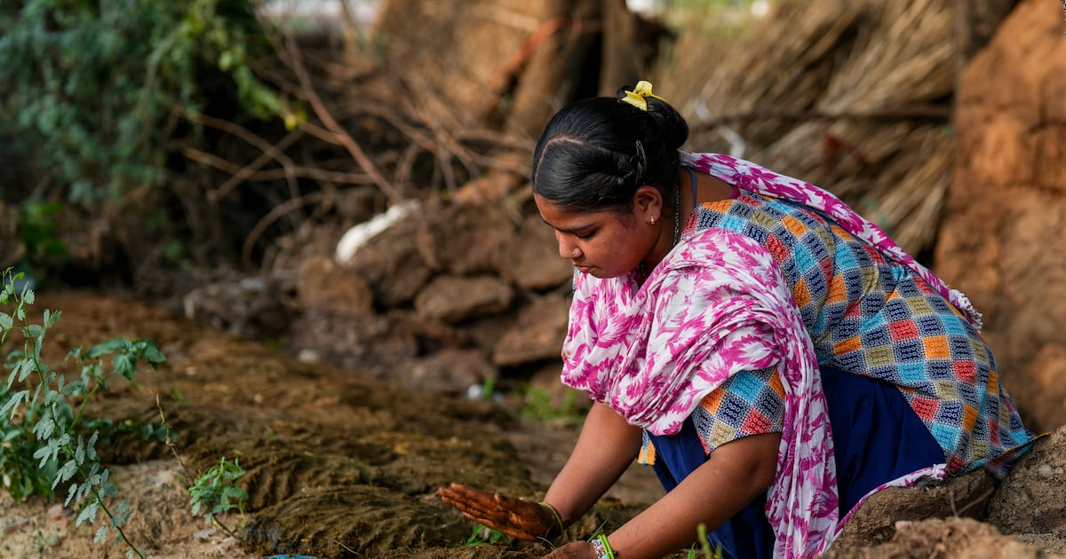 India’s soaring energy prices drive return to traditional a fuel source: cow dung – The Irish Times