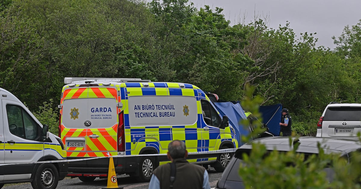 Man arrested after leading gardaí to woman’s body in Co Galway – The Irish Times