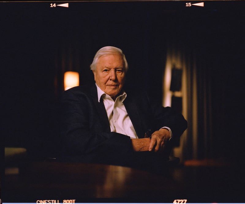 David Attenborough turns 100 on May 8th. Photograph: Robert Hollingworth/BBC