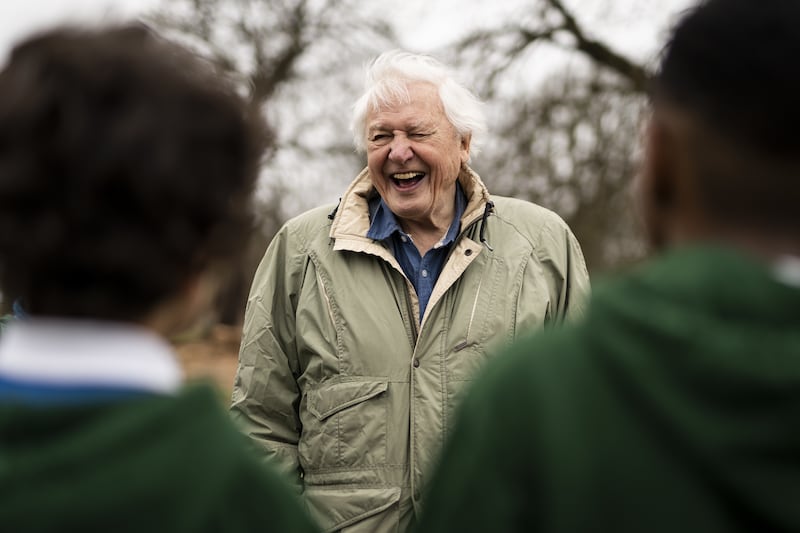David Attenborough in London in 2023. Photograph: Aaron Chown/PA