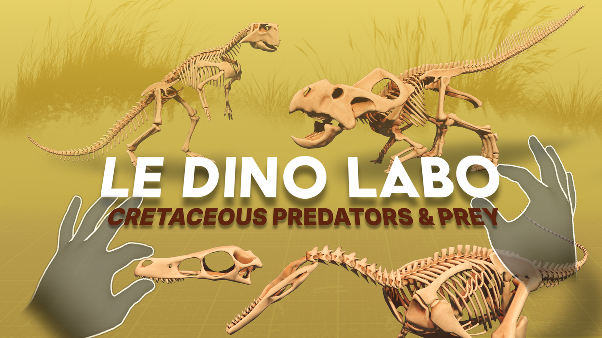 Le Dino Labo's Latest DLC, Cretaceous Predators & Prey, Out Now