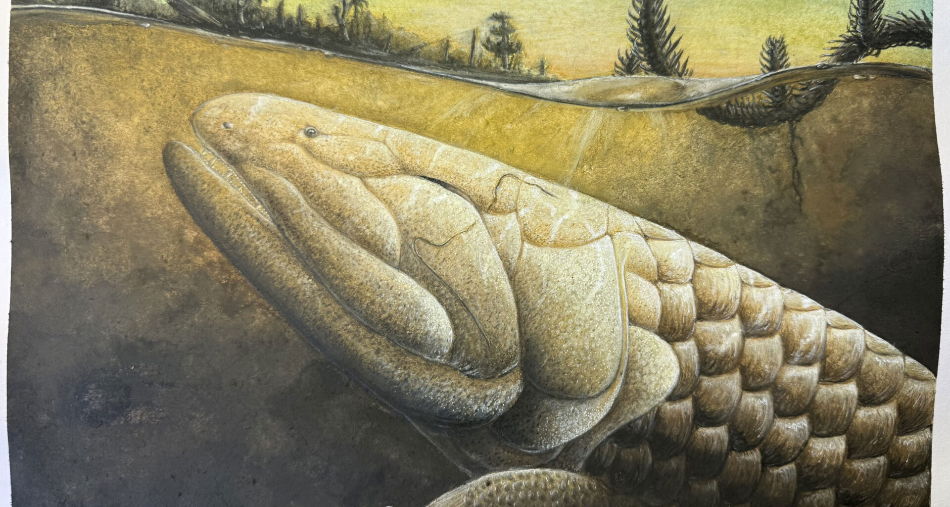 380-Million-Year-Old Fish Fossil Reveals Secrets of Life’s First Steps Onto Land