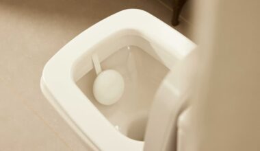 Withings U-Scan Nutrio review: Checking your health can be a wee bit expensive – The Irish Times
