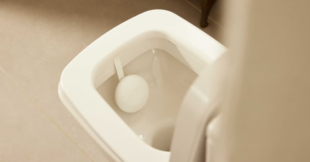 Withings U-Scan Nutrio review: Checking your health can be a wee bit expensive – The Irish Times
