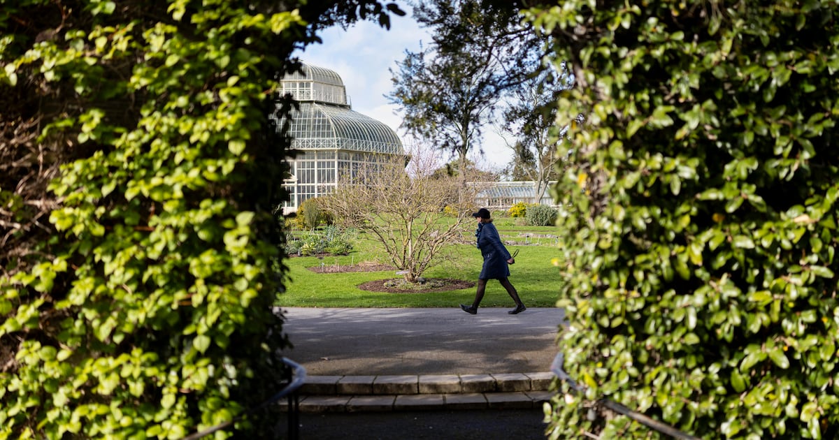 Met Éireann forecasts cooler weather across Ireland as high pressure dominates – The Irish Times