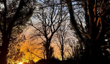 Ireland is trying to fund environmental protection on the cheap – The Irish Times