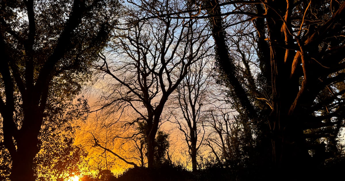 Ireland is trying to fund environmental protection on the cheap – The Irish Times