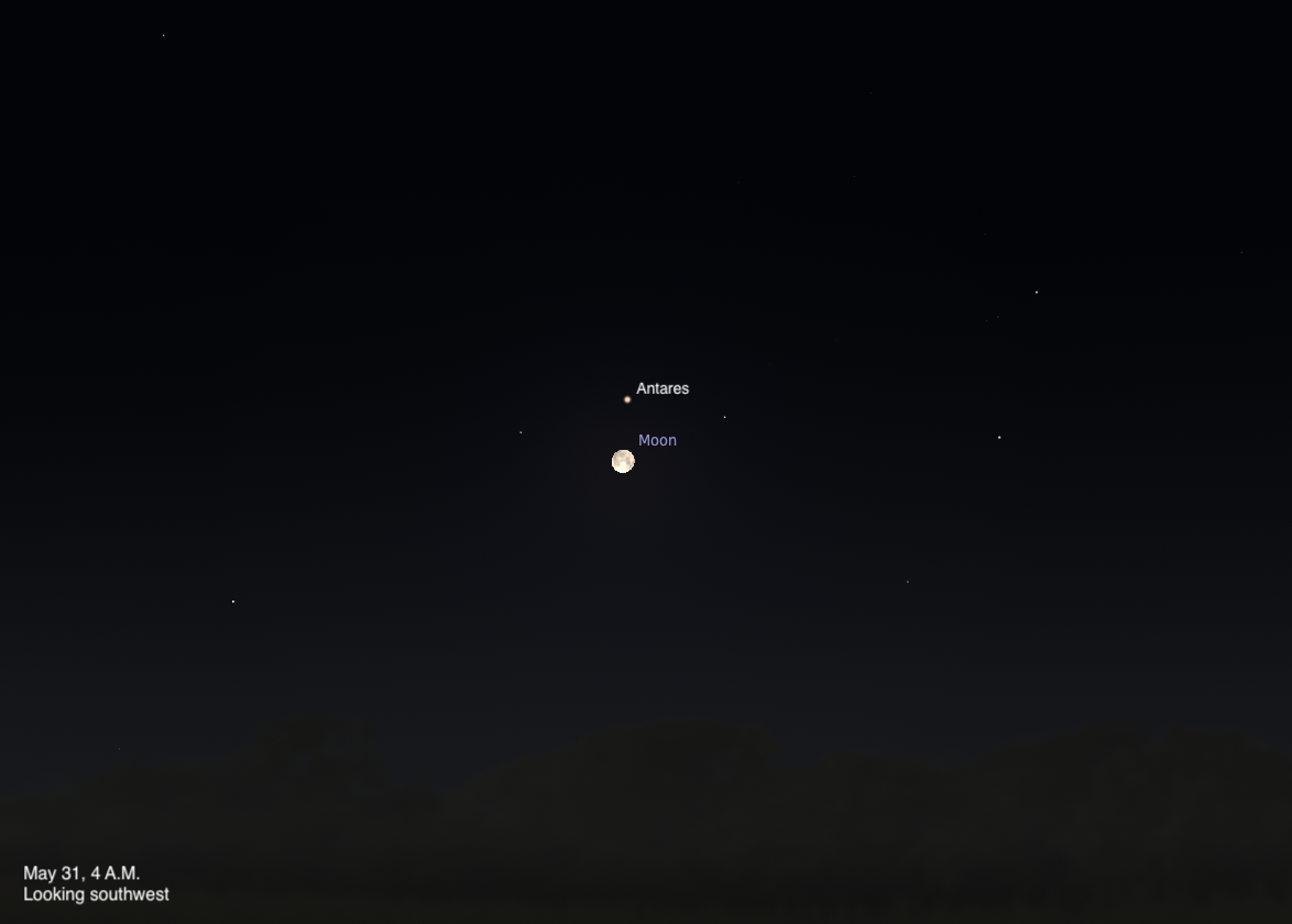 A simulated night sky looking southwest on May 31, 2026, at 4 A.M. A Full Moon sits just below the reddish star Antares, the heart of the constellation Scorpius, against a very dark sky with few other stars visible.