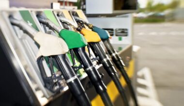 Ireland ‘could be forced to borrow next year’ if oil prices keep rising, says top economist – The Irish Times