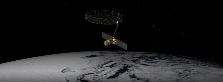 NISAR Spacecraft Artist's Concept