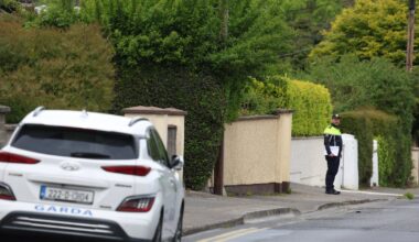 Two teens charged over assault of man in Blanchardstown who later died from injuries – The Irish Times