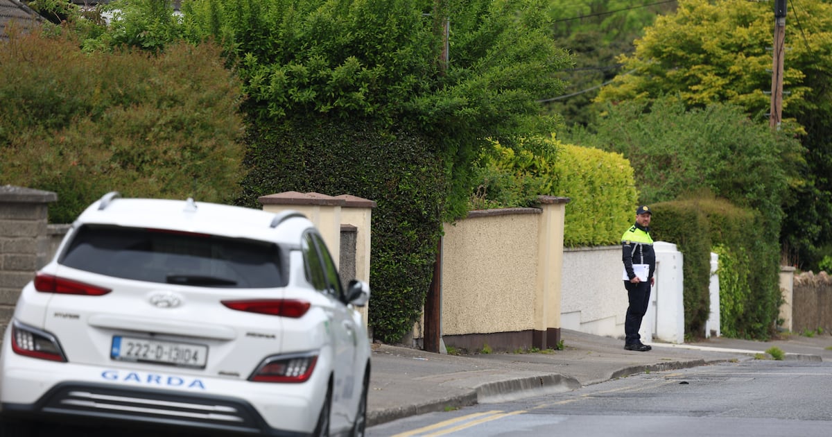 Two teens charged over assault of man in Blanchardstown who later died from injuries – The Irish Times