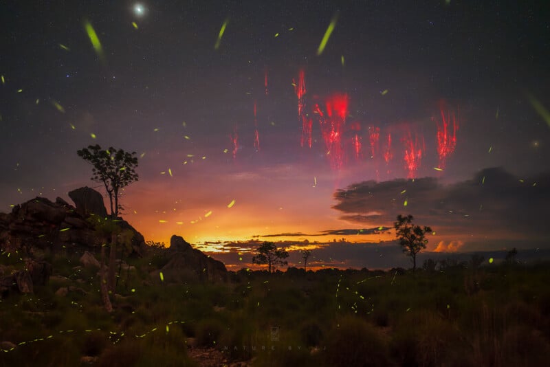 A vibrant night landscape shows a glowing sunset, scattered trees, rocks, fireflies lighting up the foreground, and red lightning-like sprites above the horizon under a starry sky.