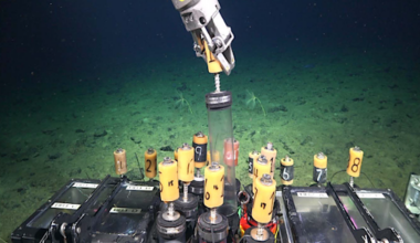 New Sulfur-dependent Ecosystem In A Gas Vent In The Depths Of The Chilean Pacific