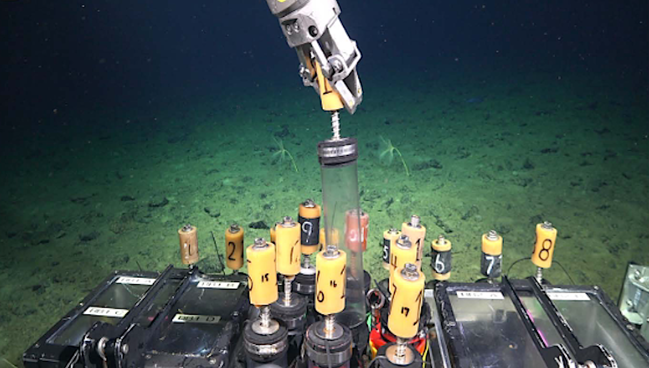 New Sulfur-dependent Ecosystem In A Gas Vent In The Depths Of The Chilean Pacific
