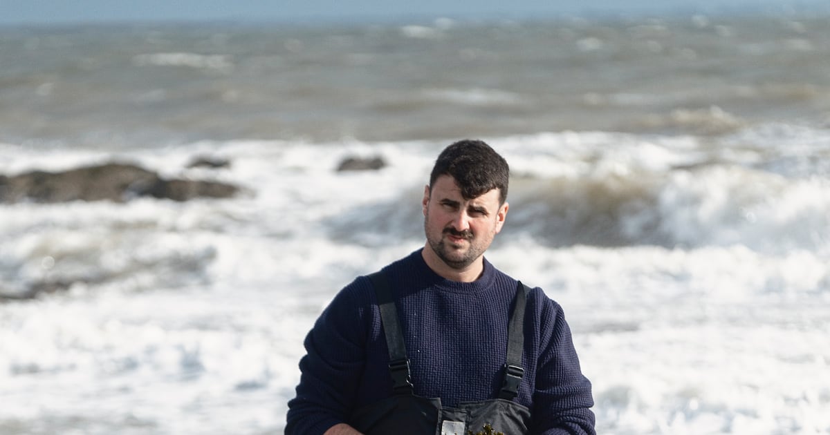 Galway startup seeks to make seaweed farming pay – The Irish Times