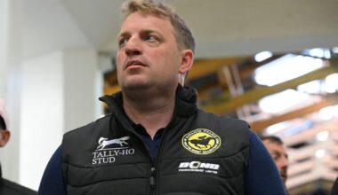 Record Trade At Tattersalls Ireland A Much-Needed Boost For Breeze-Up Sector