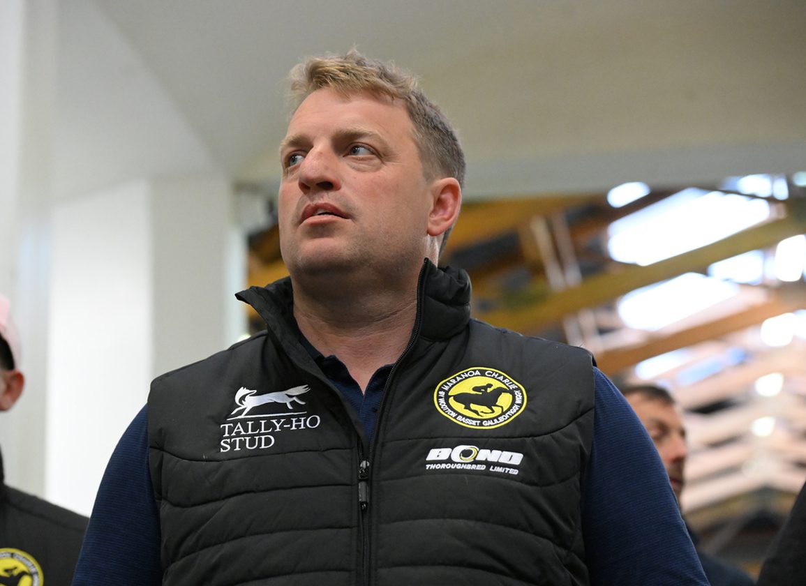 Record Trade At Tattersalls Ireland A Much-Needed Boost For Breeze-Up Sector