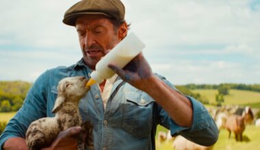 The farmyard hasn’t been this disarming since Babe – The Irish Times