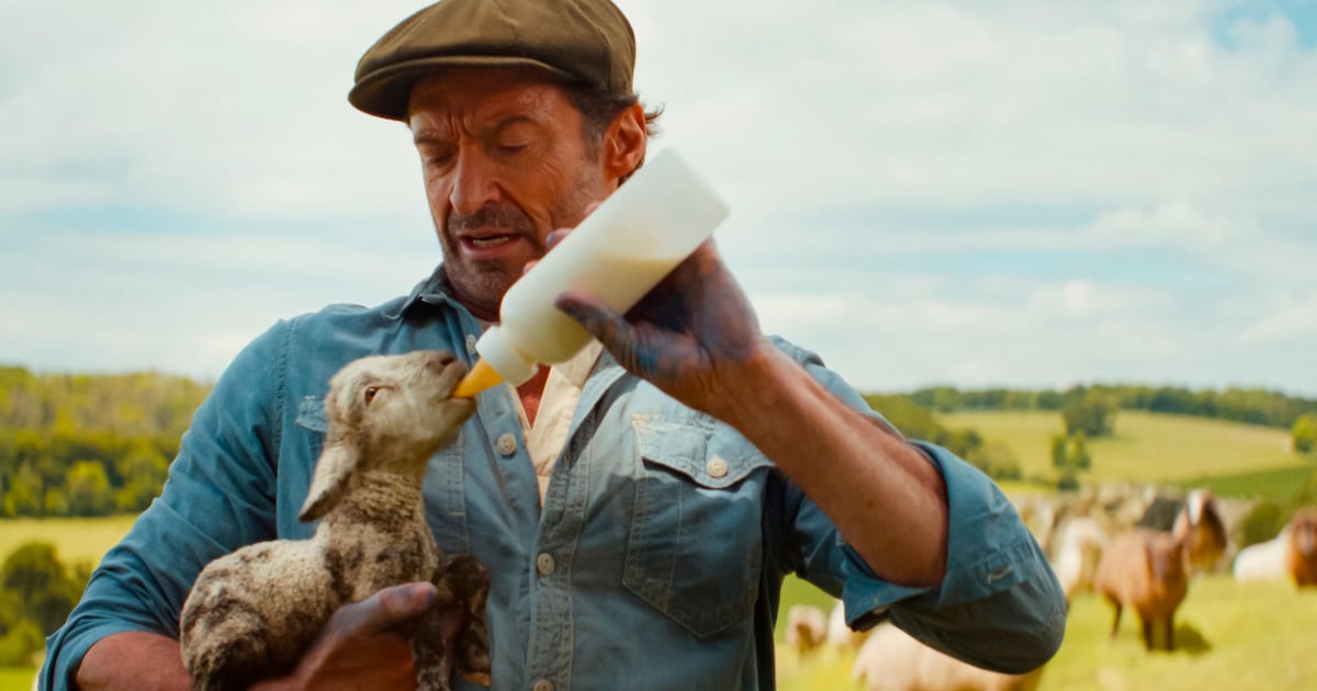 The farmyard hasn’t been this disarming since Babe – The Irish Times
