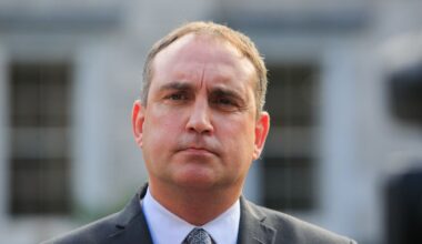 MacSharry defends intervention in case of developer jailed for assault on three boys – The Irish Times
