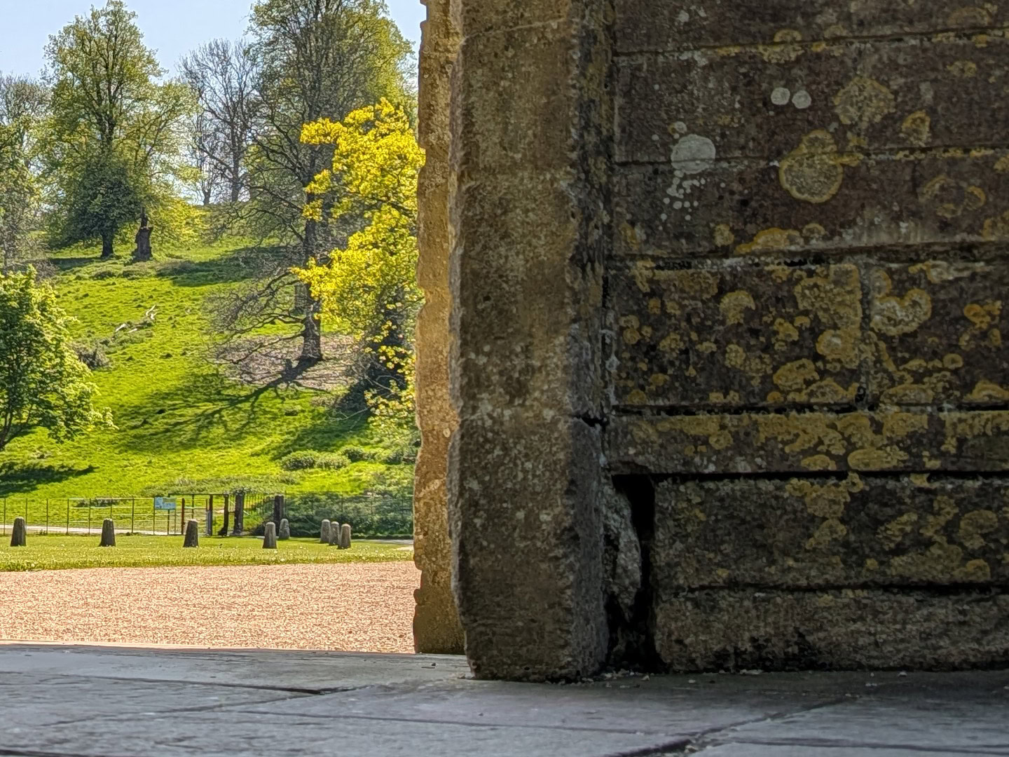 Pixel 10 Pro XL HDR detail crop