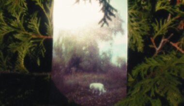 Stereogum home