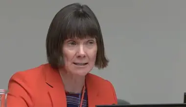 Prof Fiona Lyons, national clinical lead for the HSE’s Sexual Health Programme