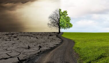 Poem: ‘When the leaves rust red and fall down dead, the fifth season begins’ – The Irish Times