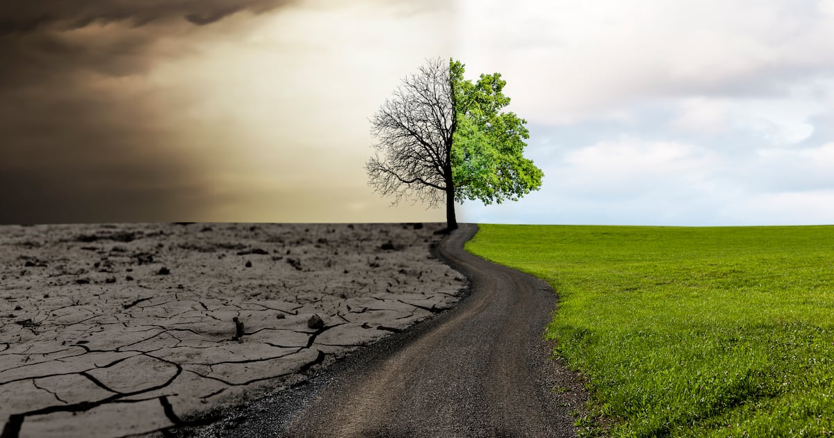 Poem: ‘When the leaves rust red and fall down dead, the fifth season begins’ – The Irish Times