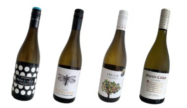 I tasted 15 supermarket albariños and these four were the best – The Irish Times