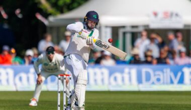 Andy McBrine comes to Ireland’s rescue once more to deny New Zealand victory inside two days – The Irish Times