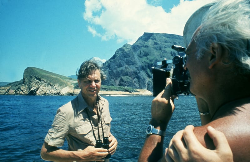 David Attenborough during filming for the 1979 Life on Earth series. Photograph: BBC Studios
