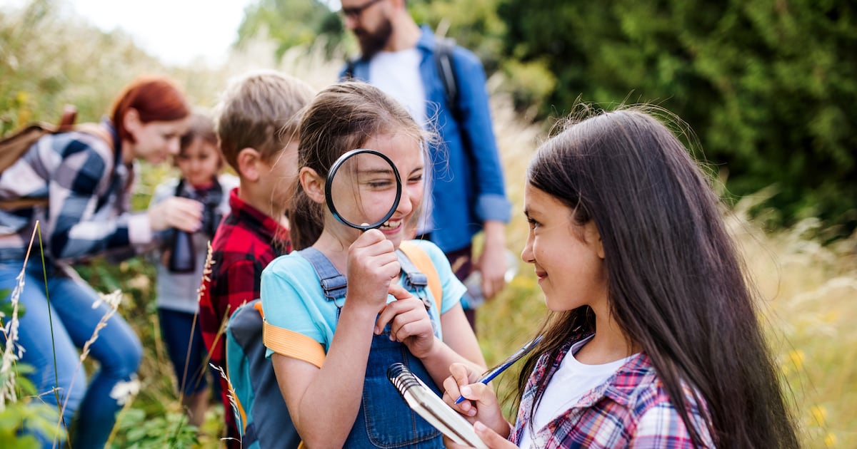 Summer camps for children: The best and most popular non-sports camps in Ireland – The Irish Times