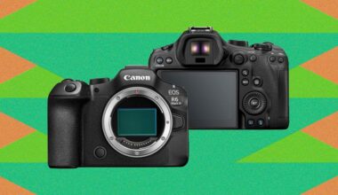 Canon EOS R6 Mark III Review: A Serious Upgrade