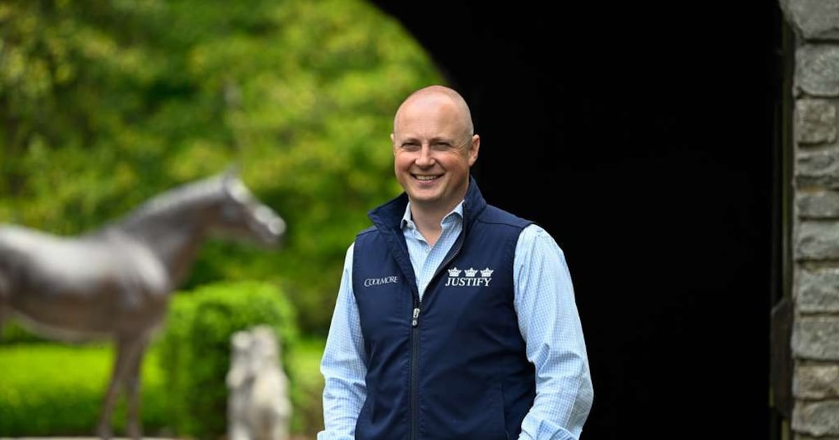 The Tipperary man plotting equine bloodlines of the future at Coolmore’s US operation – The Irish Times