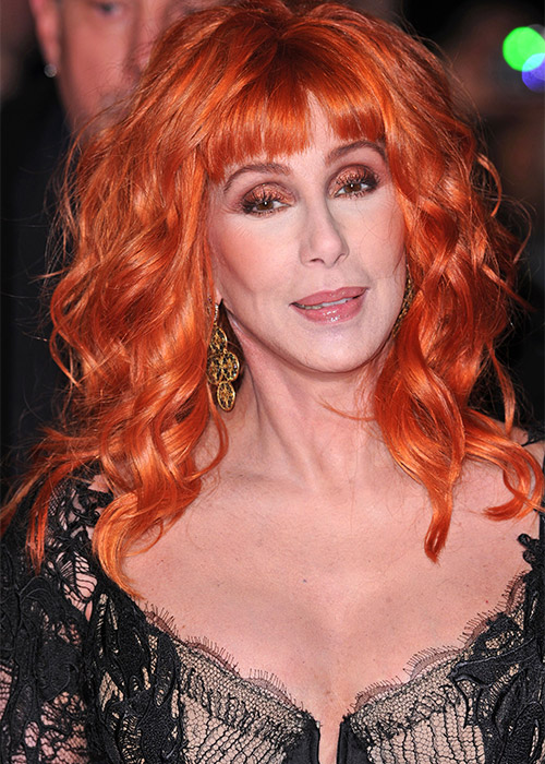 Cher, 'Burlesque' Film Premiere, 2010. Pic: Shutterstock