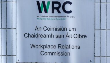 Top Aer Lingus executive denies pilot’s dismissal was ‘to silence him’ – The Irish Times