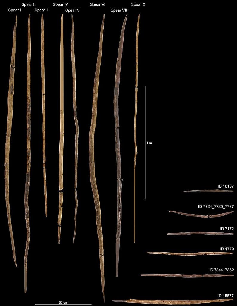 An array of Neanderthal spears against a black background