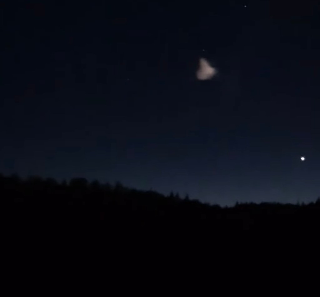 A dark night sky with faint stars and a brighter, blurry object in the upper center, above a dark silhouette of a tree line.
