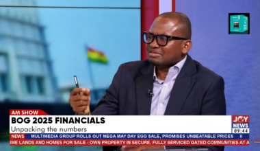 BoG’s performance should be judged by mandate, not balance sheet - Cudjoe Kuagbedzi