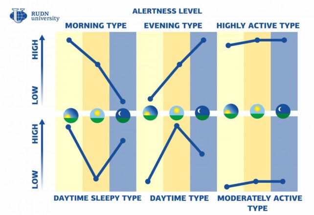 graph of alertness level over time for six different chronotypes