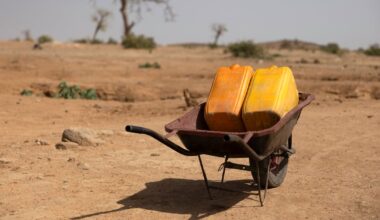 The Irish Times view on food security: an important focus for Ireland’s EU presidency – The Irish Times