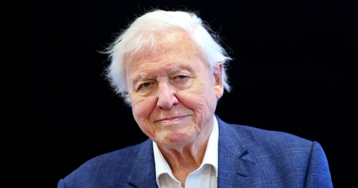 David Attenborough wrote me, an annoying child in 1980s Cork, a letter to explain his mistake – The Irish Times