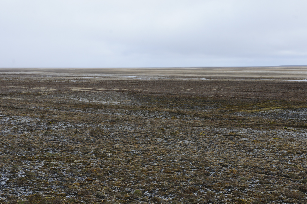 flat tundra in flat light