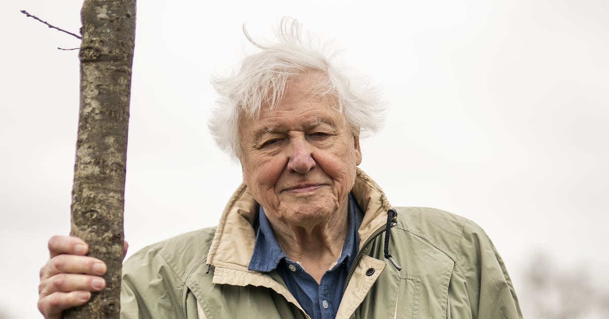 ‘So kind and charming. He joked about my lovely accent’ – The Irish Times