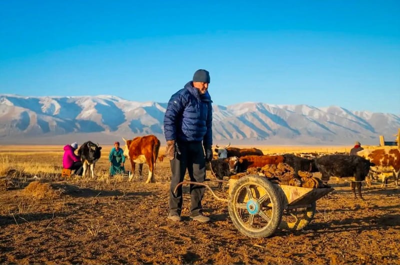 Andrew Clifford in Mongolia