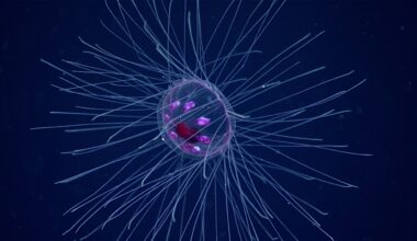 Water World Genomics: Unlocking Ocean Secrets With eDNA